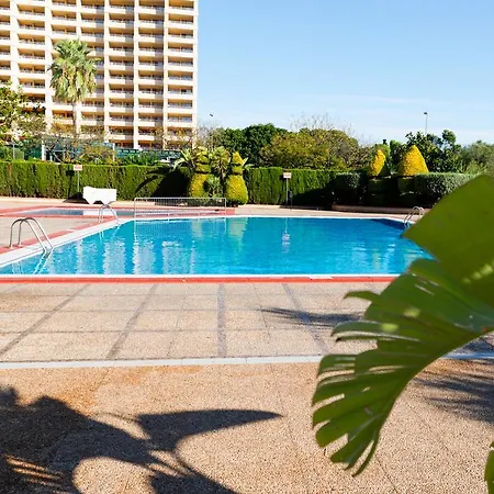 Turísticos Paraiso 10 - Gestaltur Benidorm